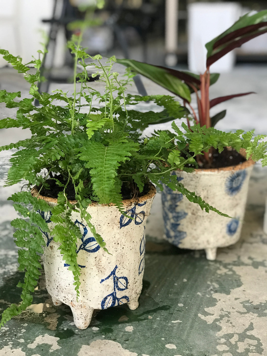 Make a Rustic Coil Pot Planter