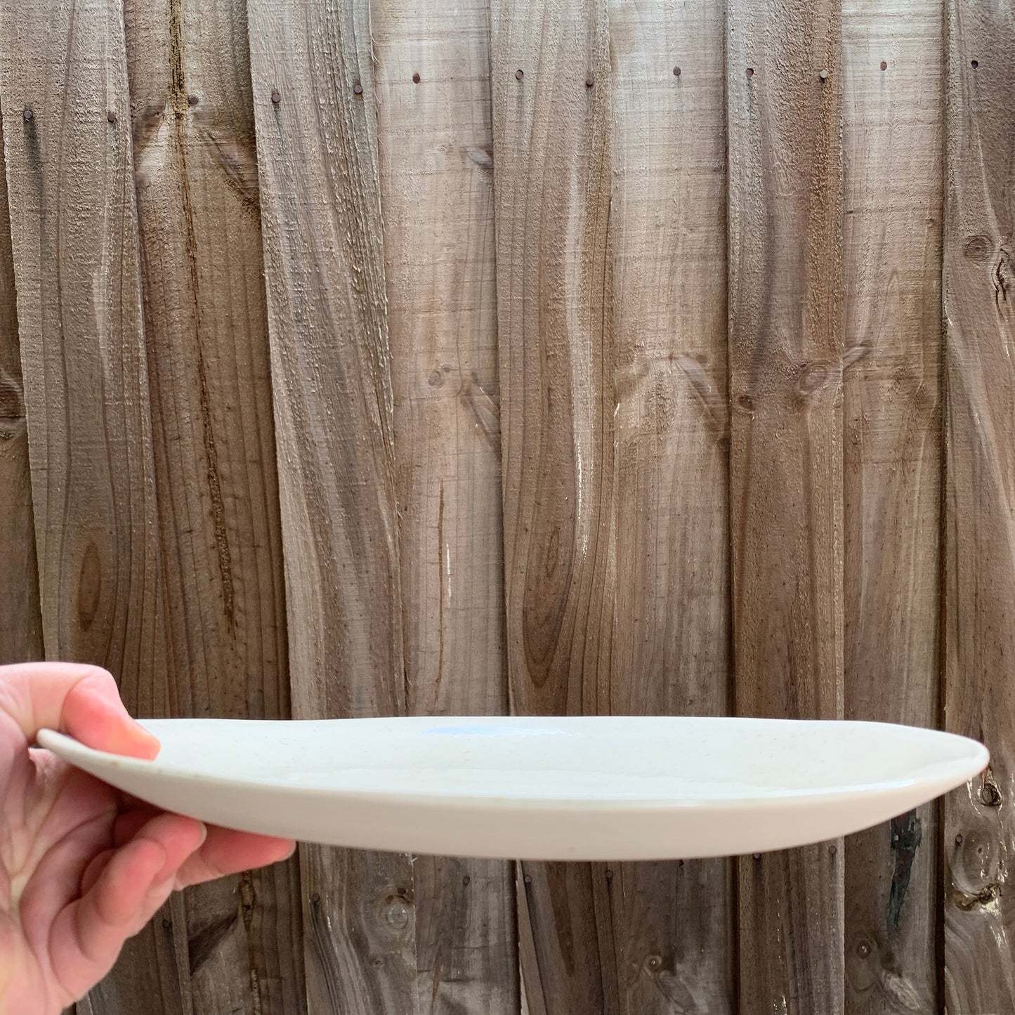 Large Dinner Plate Sets